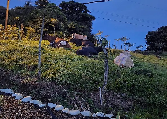 Monteverde Cloud Forest Tiny House Vientos Appartement