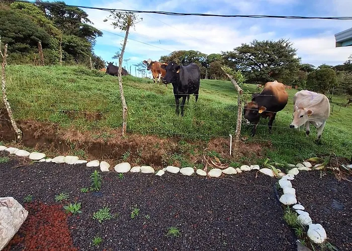Appartement Monteverde Cloud Forest Tiny House Vientos Tilarán