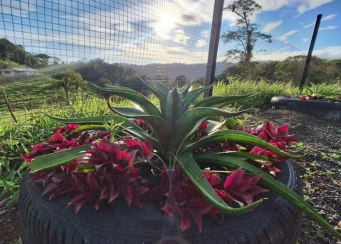 Monteverde Cloud Forest Tiny House Vientos Appartement *